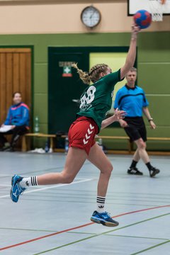 Bild 226 - Damen HSG Kremperheide/M�nsterdorf - Suchsdorfer SV : Ergebnis: 39:22